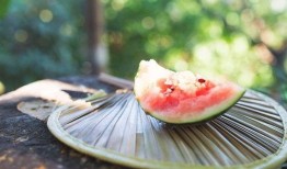 免费吃瓜入口视频